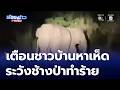 เตือนชาวบ้านออกหาเห็ด ระวังช้างป่า จ.ขอนแก่น | ห้องข่าวภาคเที่ยง