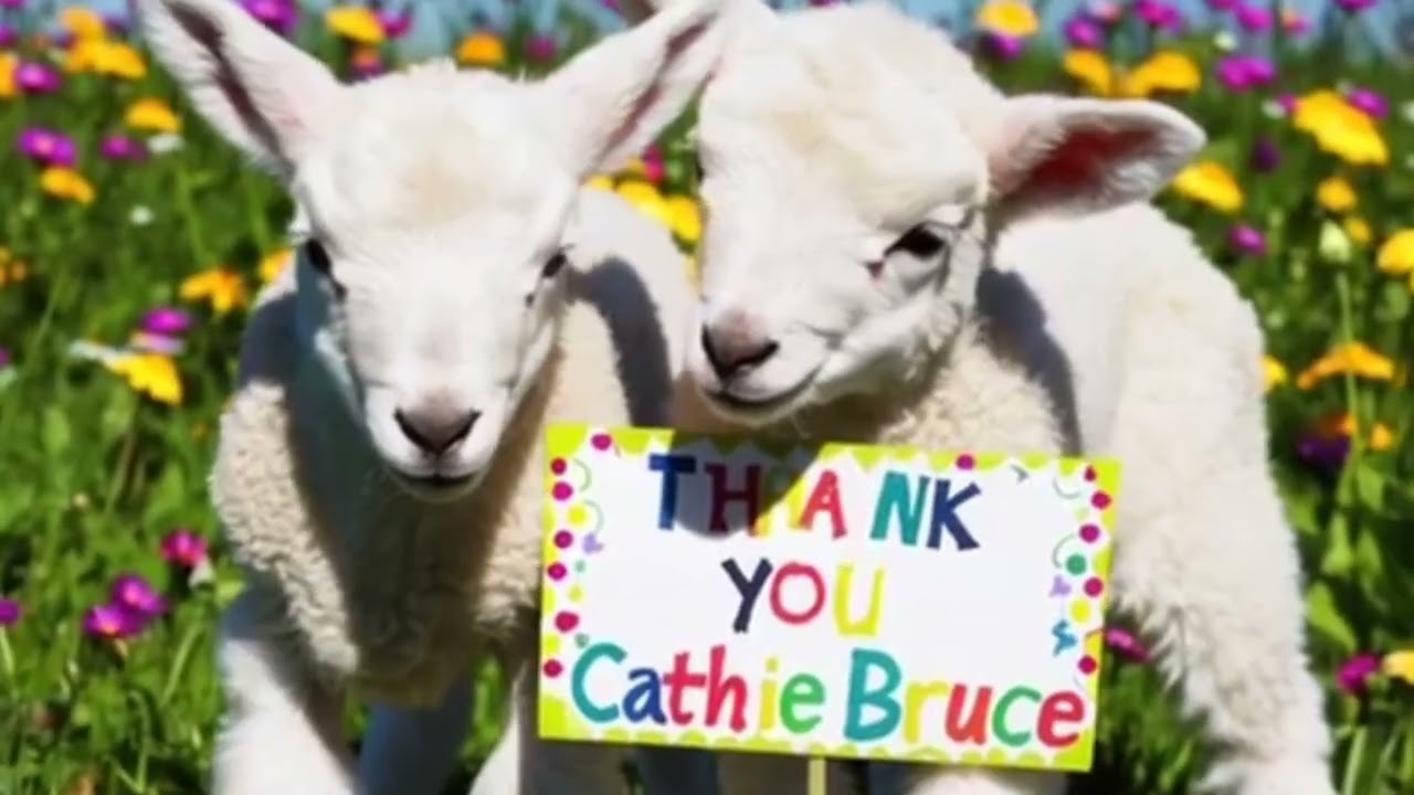 Bless, Cathie Bruce.