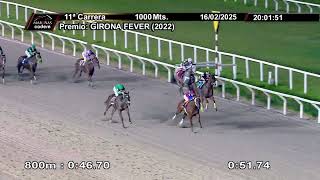 Vidéo de la course PMU PRIX GIRONA FEVER (2022)