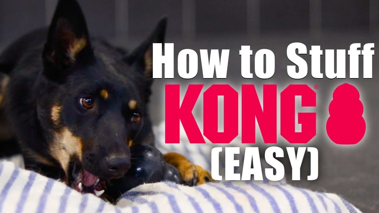 How to Stuff a Kong in 4 Easy Steps