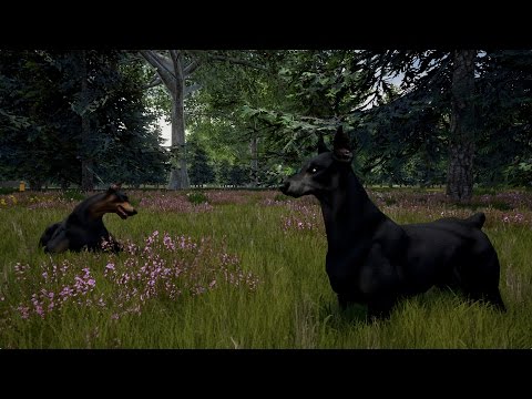 The Prison Game - Dogs Teaser