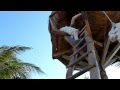 Akumal Beach Swing On The Beach