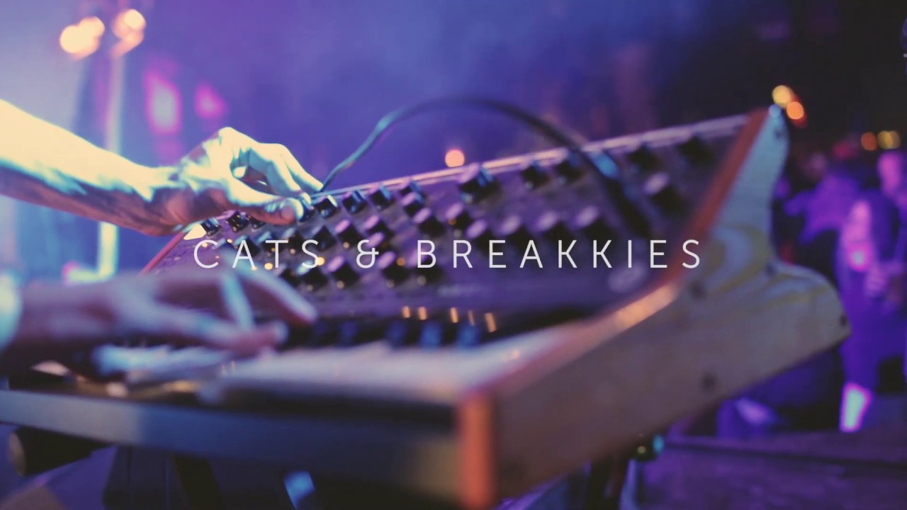 CATS & BREAKKIES - "ICARUS" Live at Fusion Festival 2019