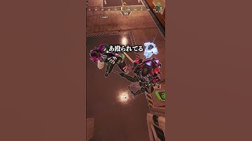 暴言厨の海外ニキを救いたい配信者www【APEX LEGENDS】#shorts #りー