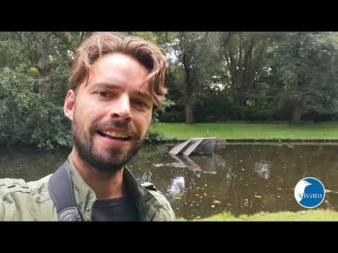 Video: Welke Sterrenbeelden Zijn Vernoemd Naar Vogels?