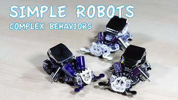 The Braitenberg Vehicles