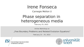 Irene Fonseca - Phase separation in heterogeneous media