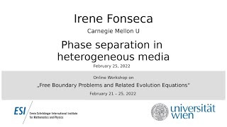 Irene Fonseca - Phase separation in heterogeneous media