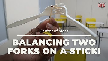 Balancing Forks Explained | Equilibrium