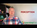 LearningCog: Perception