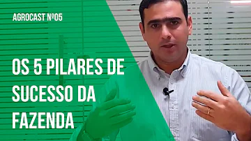 O que se tem em uma fazenda?
