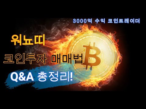 3000억 수익 워뇨띠 코인투자 매매법 총정리 Q A 78문항 