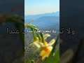 اللهم ان كنت محسننا فأقبلني وأن كنت م سيئا فأرحمني وفرج عني كل ضيق ولا تحملني بلطفك ما لا أطيق اللهم ان كنت محسننا فأقبلني وأن كنت م سيئا فأرحمني وفرج عني كل ضيق ولا تحملني بلطفك ما لا أطيق