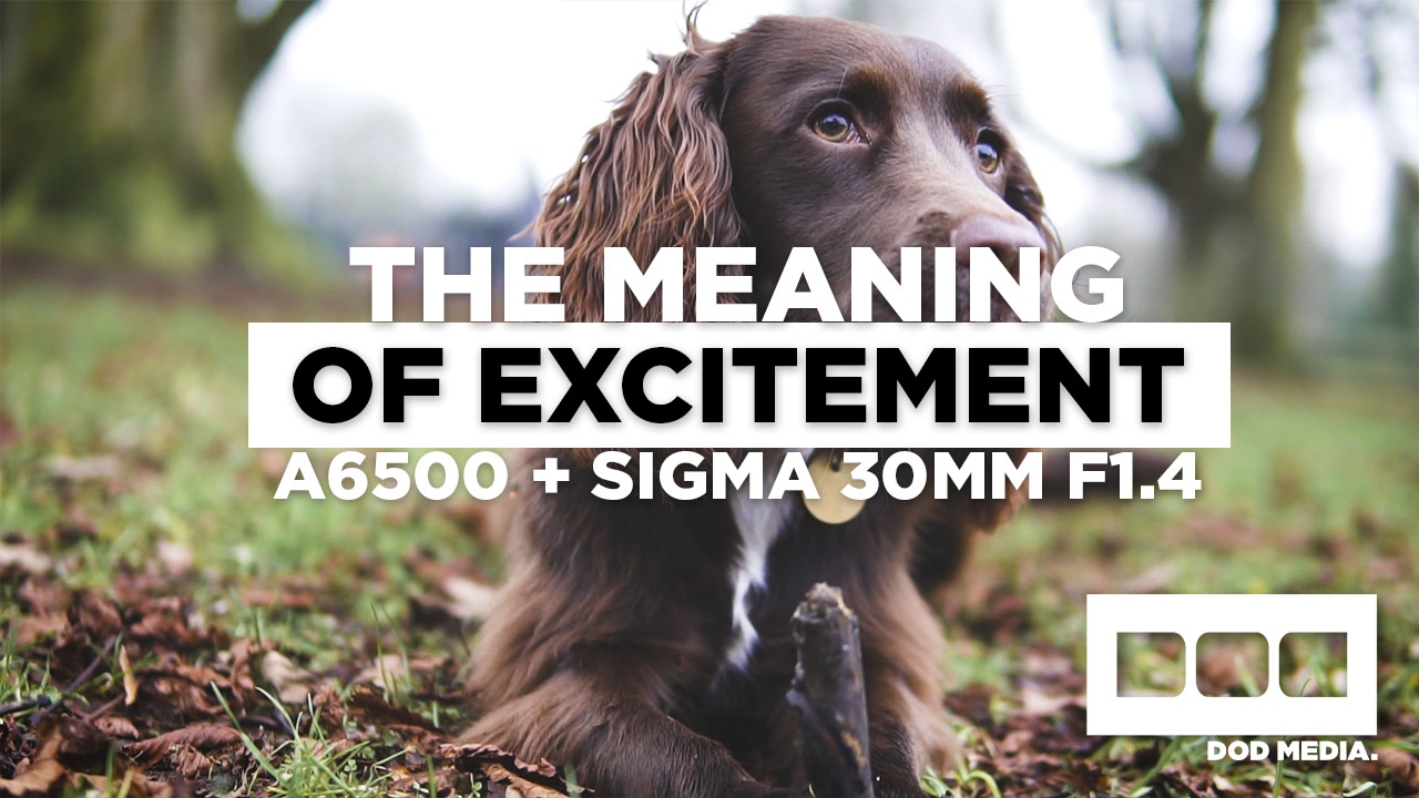 The Meaning of Excitement - a6500 + Sigma 30mm f1.4 DC DN Autofocus