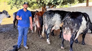 É MELHOR TER 3 VACAS BOAS DANDO 100 LITROS DE LEITE DO QUE 10 VACAS RUINS DANDO 100 LITROS.
