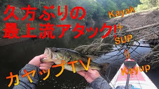 久しぶりに最上流まで行ってみた! 5月上旬@三島湖 久しぶりに最上流まで行ってみた! 5月上旬@三島湖