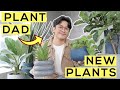 My Indoor Plants at #CasaGuisado! (+ Unboxing)