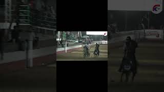 Turno 52 - Olardo González. LATINO AMERICANO DE COLEO EDICION 2026 / Dia 2 #kalutv