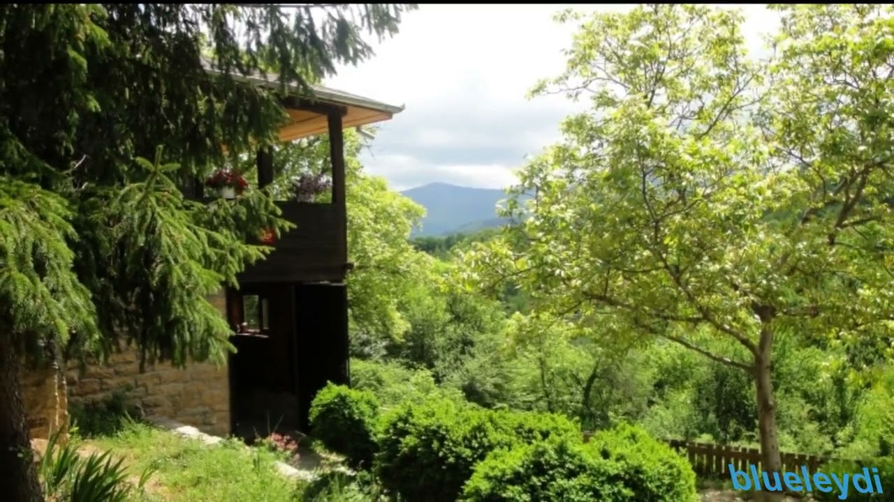 Славка Секутова-Дали има от това по тежко