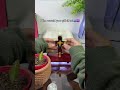 Does this feel like a gift from heaven? 🥹❤️✝️#lamp #jesus #jesuslovesyou #gift #cross