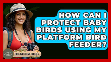 How Can I Protect Baby Birds Using My Platform Bird Feeder? - Bird Watching Diaries