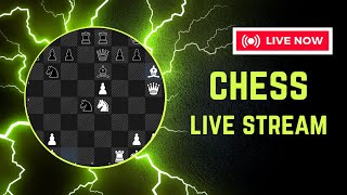 Chess live stream