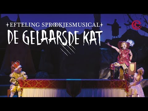 Video: De Geblokkeerde Kat