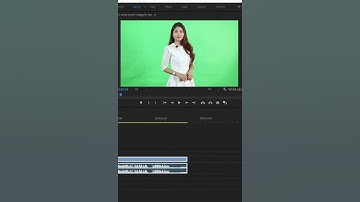 Mirror Video (Flip Video) | Tutorial Premiere Pro | 10 seconds Tutorial #Shorts