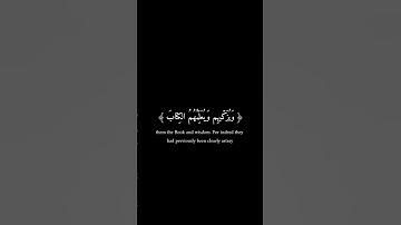 محمد ايوب شاشه سوداء تلاوة قصيرة حالات واتساب 🖤