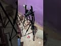 Behind the Scenes at Pure Rain Vibes: Recording Real Rain Sounds and Night Visuals