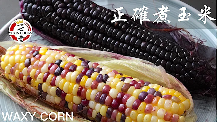 【如何正确煮糯玉米】 How to cook sweet corn correctly 自种玉米 homegrown waxy corn - 天天要闻