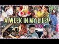 Celebrating Birthday & Driving my CAR! A Week In My Life Vlog + 500K Giveaways!! | ThatQuirkyMiss