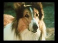 The Holdens Lassie (Season 19 Eps9 A Taste of Freedom)