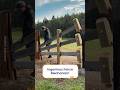 A Fence So Ingenious, It’ll Make You Look Twice