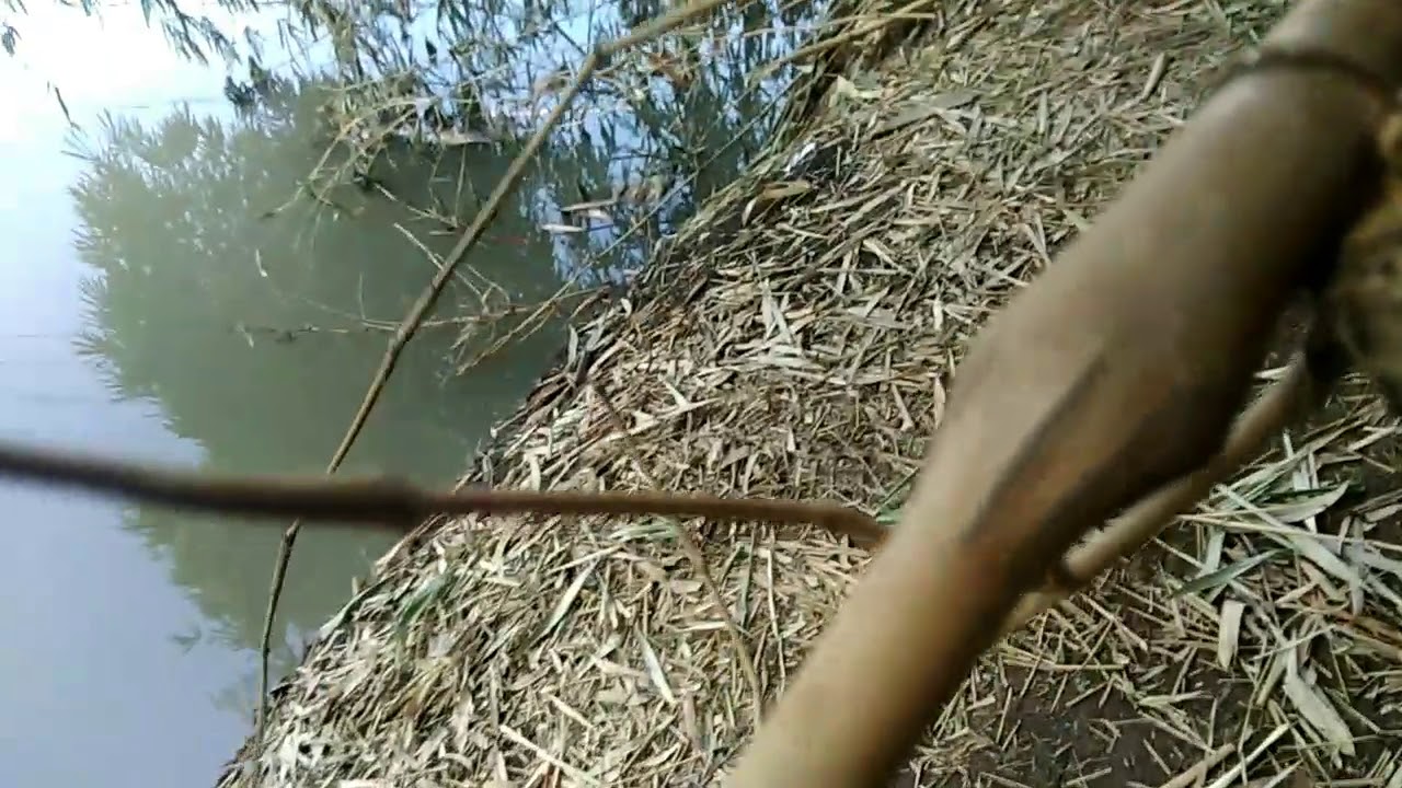 PEMOTONGAN BAMBU KENDIT YouTube PEMOTONGAN BAMBU KENDIT YouTube