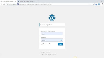 How to Login or Logout Your Wordpress Website 2020
