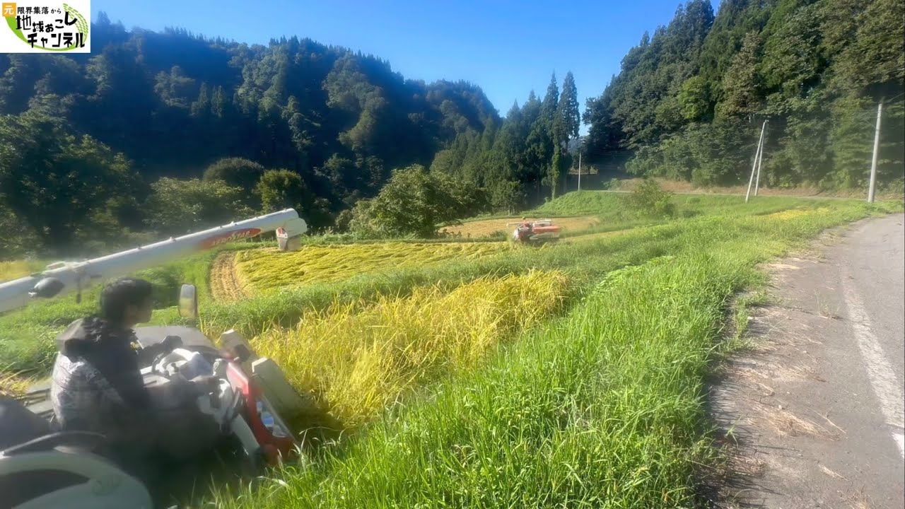 コンバイン2台でかなり捗りました【2024年9月16日】棚田の稲刈り日記