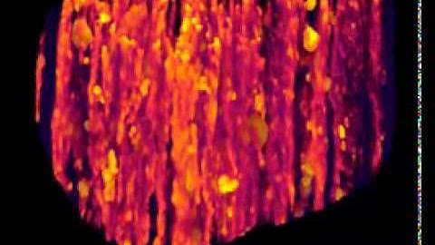 High-Resolution X-ray Computed Tomography as a Tool for Visualization and Quantitative Analysis of
