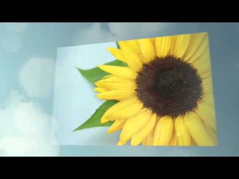 私立バカレア高校 第1話 Youtube