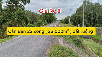 Cần Bán 22 công ( 22.000m² ) đất ruộng - có trạm bơm điện, có điện nước wifi đầy đủ, cách chợ 1km