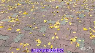 FALLEN LEAVES | LADY PANDAKEKZ | #viral #asmr #subscribe #share