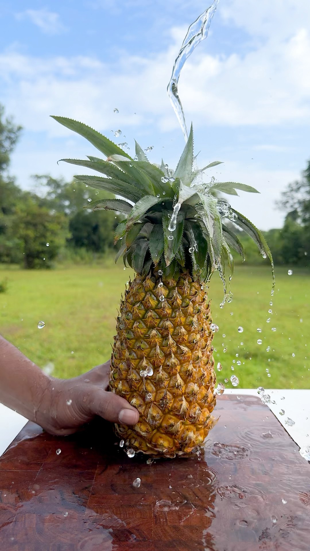 Fresh Pineapple Juice #shorts