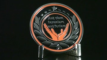 Custom Coins for Organizations and Businesses by CoinsAndPins.com