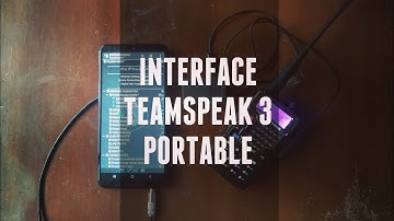 INTERFACE TS3 TEAMSPEK 3 PORTABLE