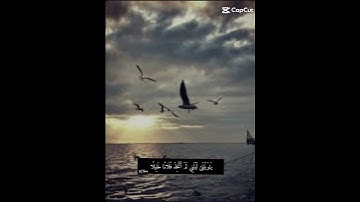قرآن كريم بصوت القارئ محمد اللحيدان #اكسبلور #الهلال #دويتو #quran #لايك
