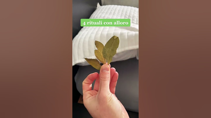 4 rituali con alloro per attrarre fortuna, prosperità e ricchezza