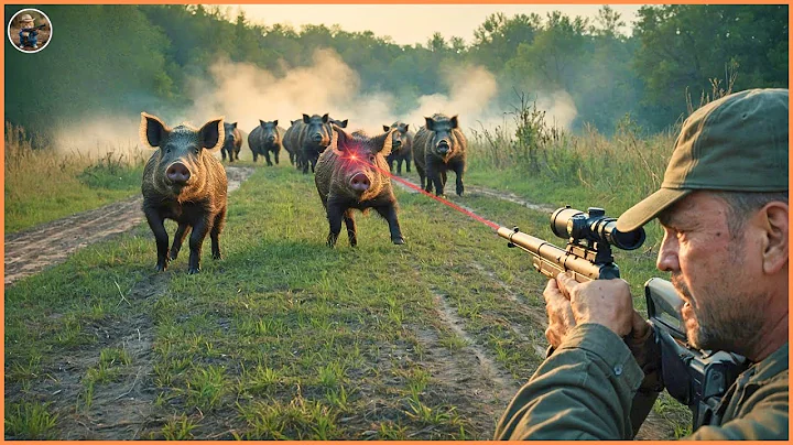 How Millions of Wild Boars, Invasive Monkeys Are Controlled by American Farmers | Invasive Species