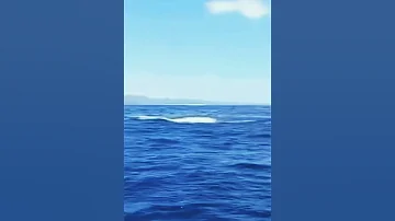 Эпичный прыжок косатки