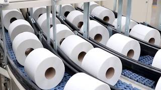 HOW TOILET PAPER IS MADE 🧻 | 83 million rolls produced daily from recycled waste