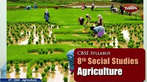 Agriculture | Class 8th Social Studies | NCERT | CBSE Syllabus | Live Videos